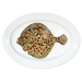 turbot oval plate
