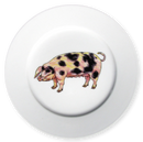 Gloucestershire Old Spot Pig 19cm Flat Rimmed Plate