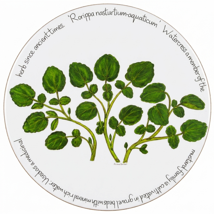 Kitchen Garden Tablemat Set of 6