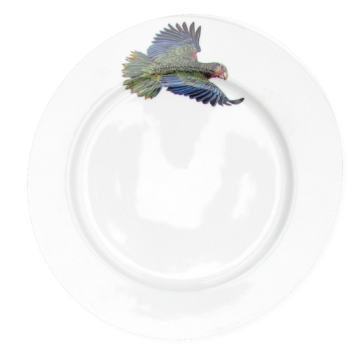 Richard Bramble Parrot 26cm Plate