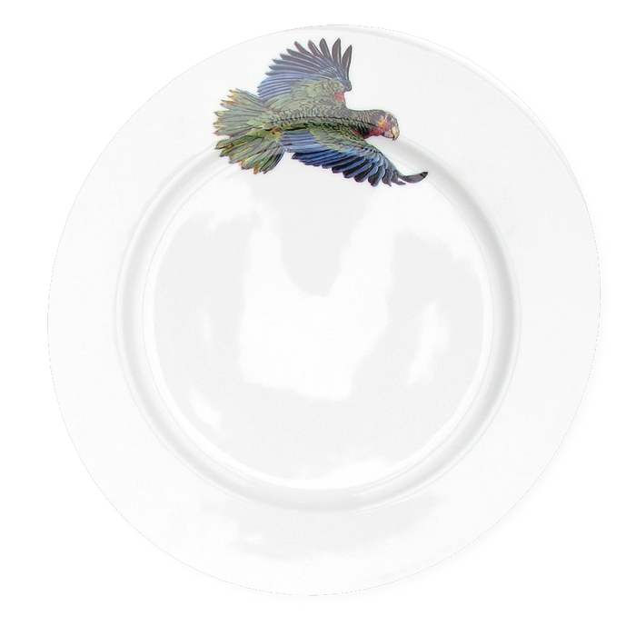 Richard Bramble Parrot 26cm Plate