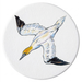 Gannet Diving Coaster