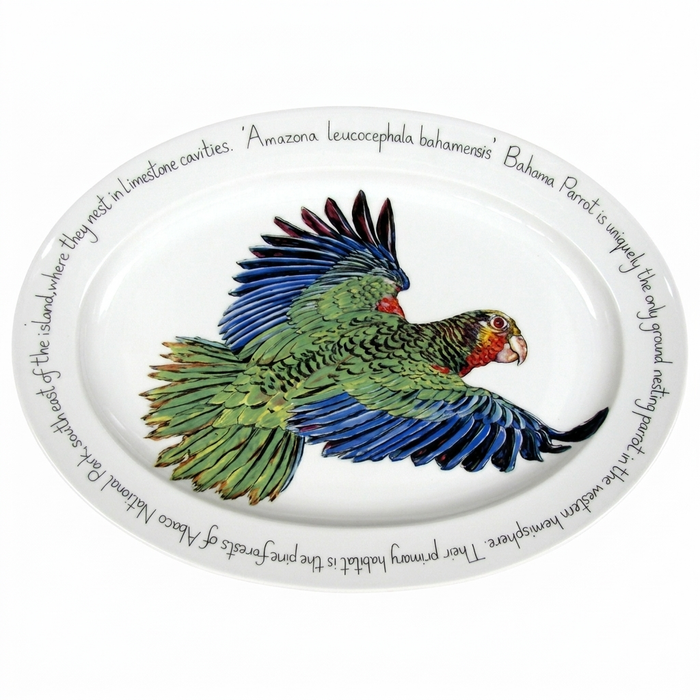 Parrot 39cm oval plate
