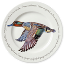 Green-winged Teal 30cm Flat Rimmed Plate