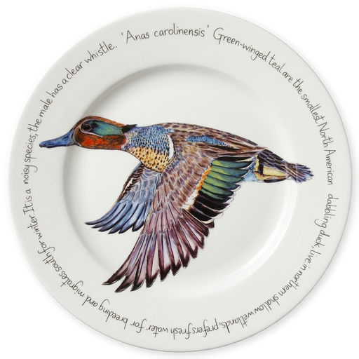 Green Winged Teal 30cm Plate