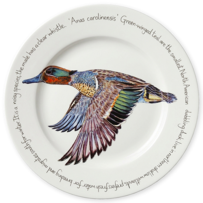 Green Winged Teal 30cm Plate