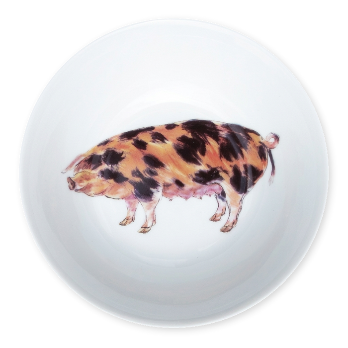 oxford sandy pig bowl