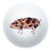 oxford sandy pig bowl