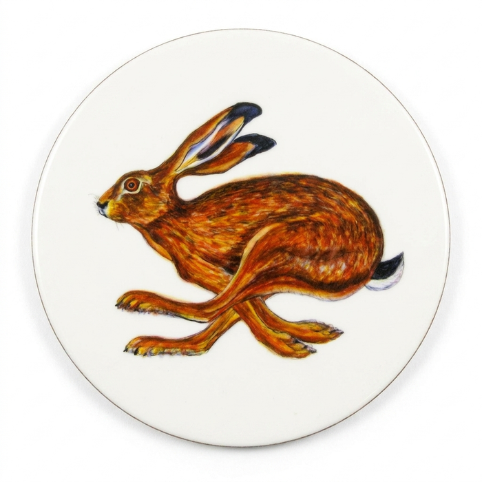 Hare Running Coaster