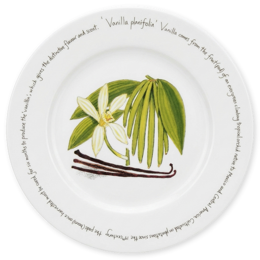 Vanilla 30cm Plate