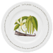 Vanilla 30cm Plate