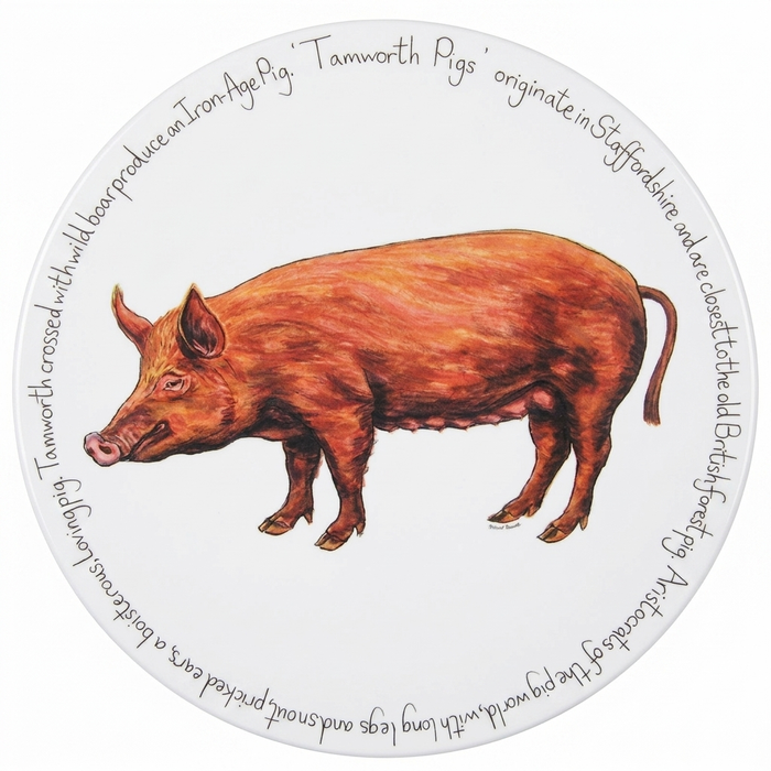 Pig Breeds Tablemat Set of 6