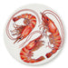 Shrimp & Prawn coaster