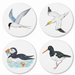 Seabirds Gift Coaster Pack