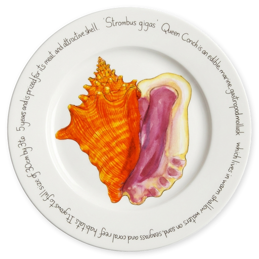 Conch Shell 30cm Plate