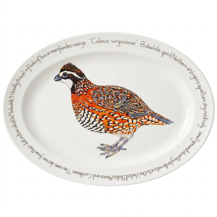 Bobwhite Quail 39cm oval plate