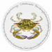Blue Crab tablemat