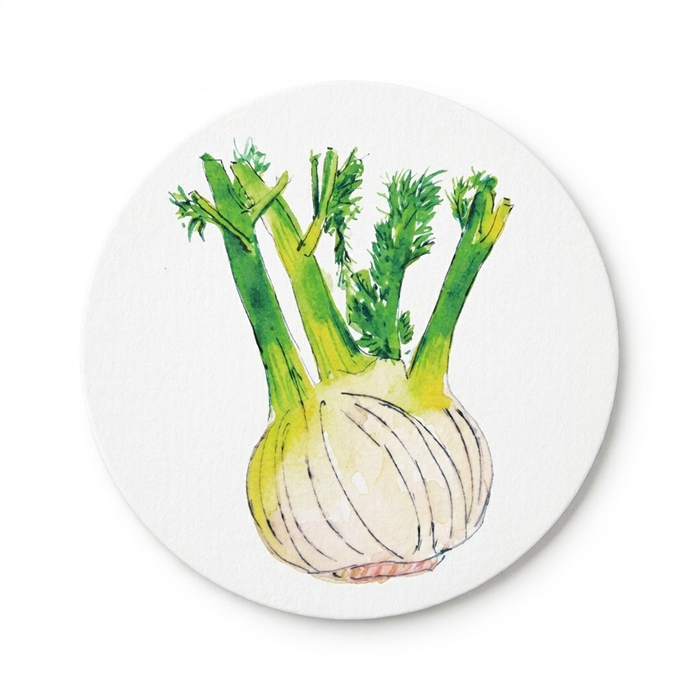 Kitchen Garden Coaster Set of 6