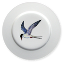 Richard Bramble | Tern 19cm Flat Rimmed Plate