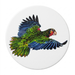 Bahama Parrot Coaster