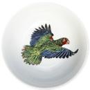 Parrot 13cm (5") Bowl