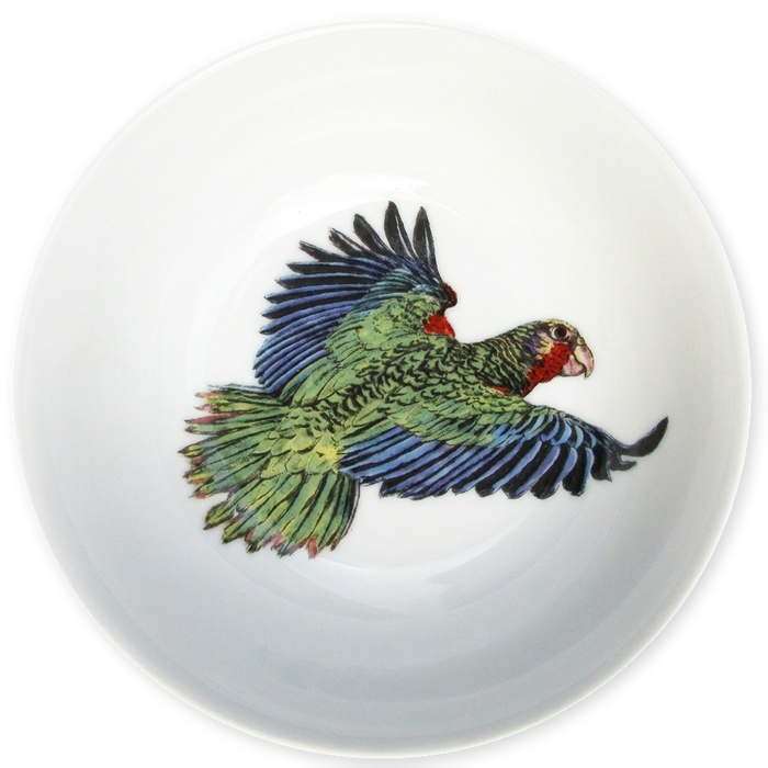 parrot bowl