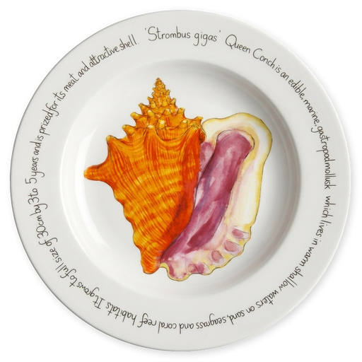 Conch 30cm Plate