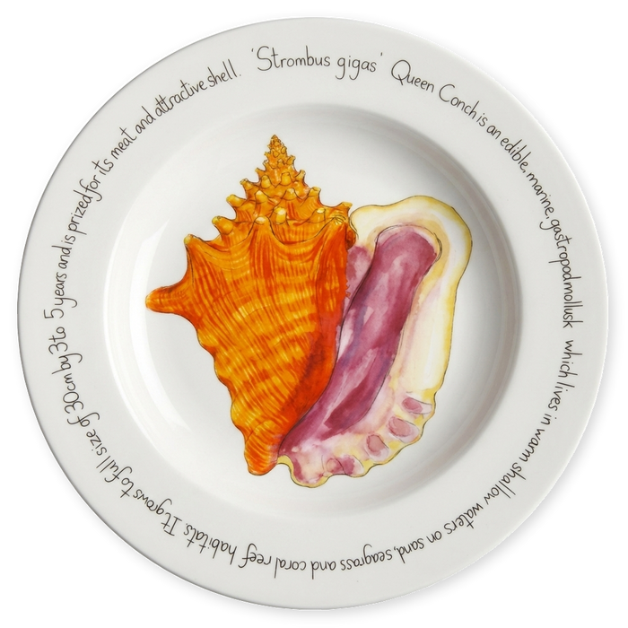 Conch 30cm Plate