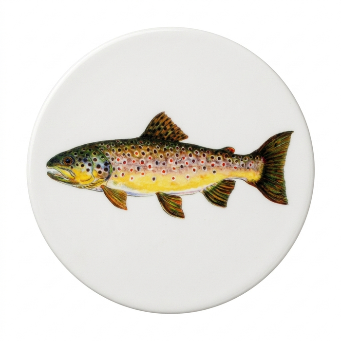 Brown Trout Coaster