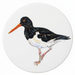 Oystercatcher Standing Coaster