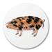 Oxford Sandy Black Pig Coaster
