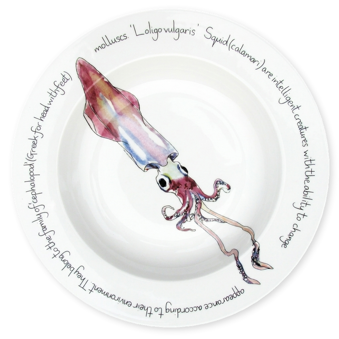 Squid 30cm Plate