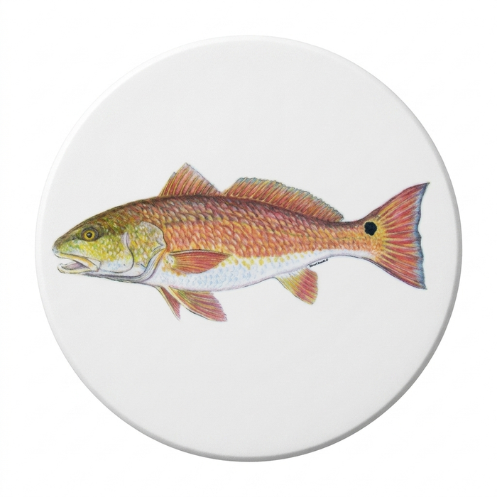 Saltwater Gamefish Coaster Set of 6 size & rim guide