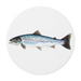Sea Trout Coaster