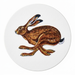 Hares Gift Coaster Pack