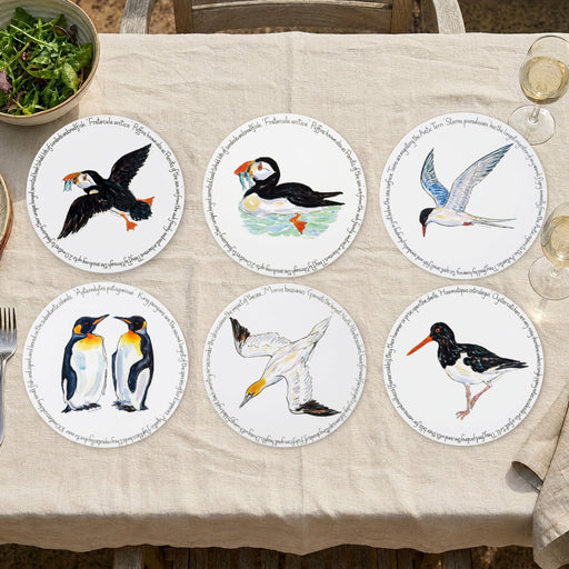 Seabirds Tablemat Set of 6 by Richard Bramble