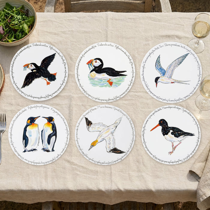 Seabirds Tablemat Set of 6 by Richard Bramble