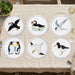 Seabirds Tablemat Set of 6 by Richard Bramble