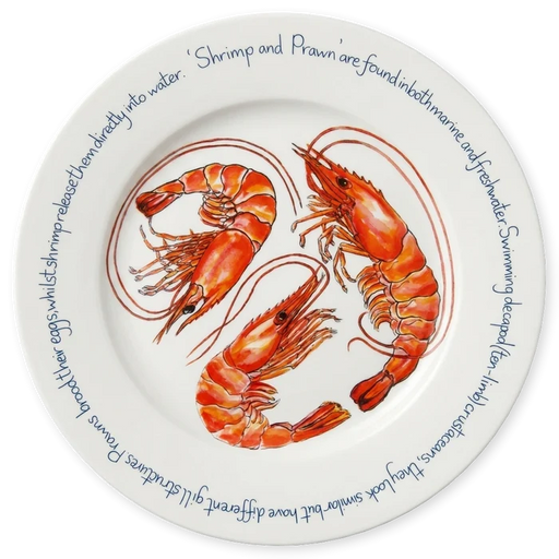 Shrimp & Prawn 30cm Flat Rimmed Plate