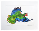Abaco or Amazonian Parrot Print