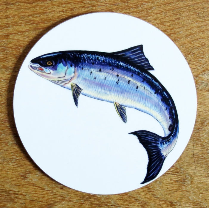 Salmon Coaster