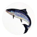 Salmon Coaster