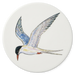 Arctic Tern coaster