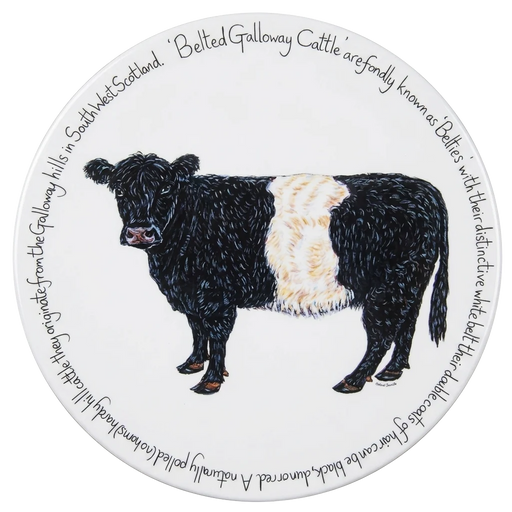 Belted Galloway Cow tablemat