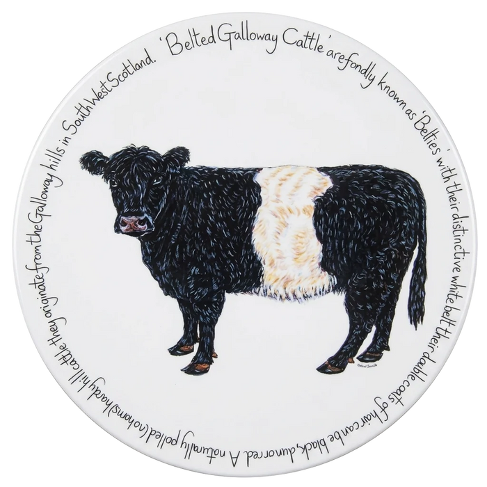 Belted Galloway Cow tablemat