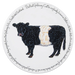Belted Galloway Cow tablemat