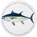 Bluefin Tuna tablemat