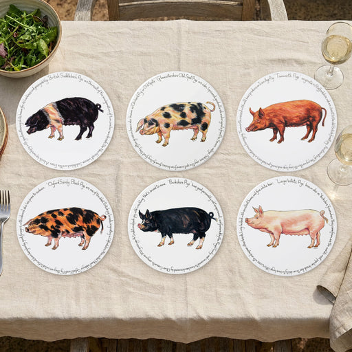 Pig Breeds Tablemat Set of 6 by Richard Bramble