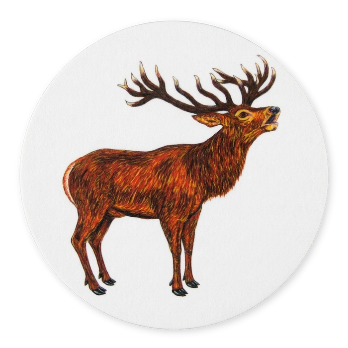 Richard Bramble Stag Roaring Coaster