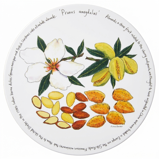 Almonds Tablemat